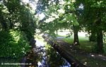 Tavistock Canal