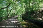 Tavistock Canal