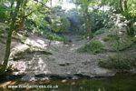 Tavistock Canal