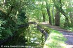 Tavistock Canal