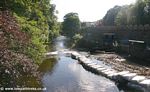 Tavistock Canal: The River Tavy