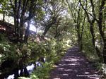 Tavistock Canal