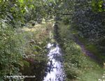 Tavistock Canal, Embankment